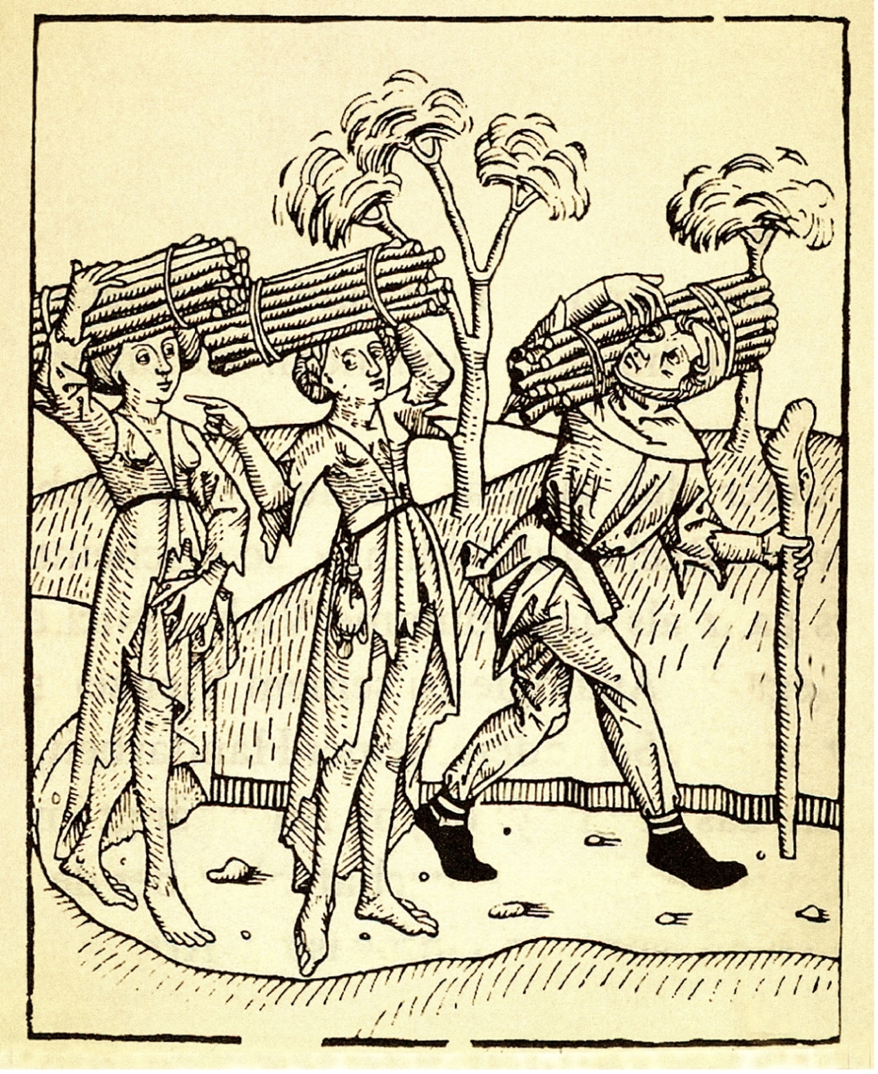"Weil das Holz eine köstliche Ware..." - Wald und Forst zwischen Mittelalter und Moderne "Weil das Holz eine köstliche Ware..." - Wald und Forst zwischen Mittelalter und Moderne