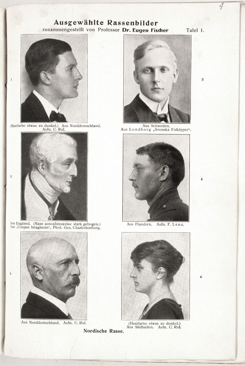 Erwin Baur, Eugen Fischer, Fritz Lenz: Menschliche Erblichkeitslehre und Rassenhygiene, 2. Aufl., München 1923