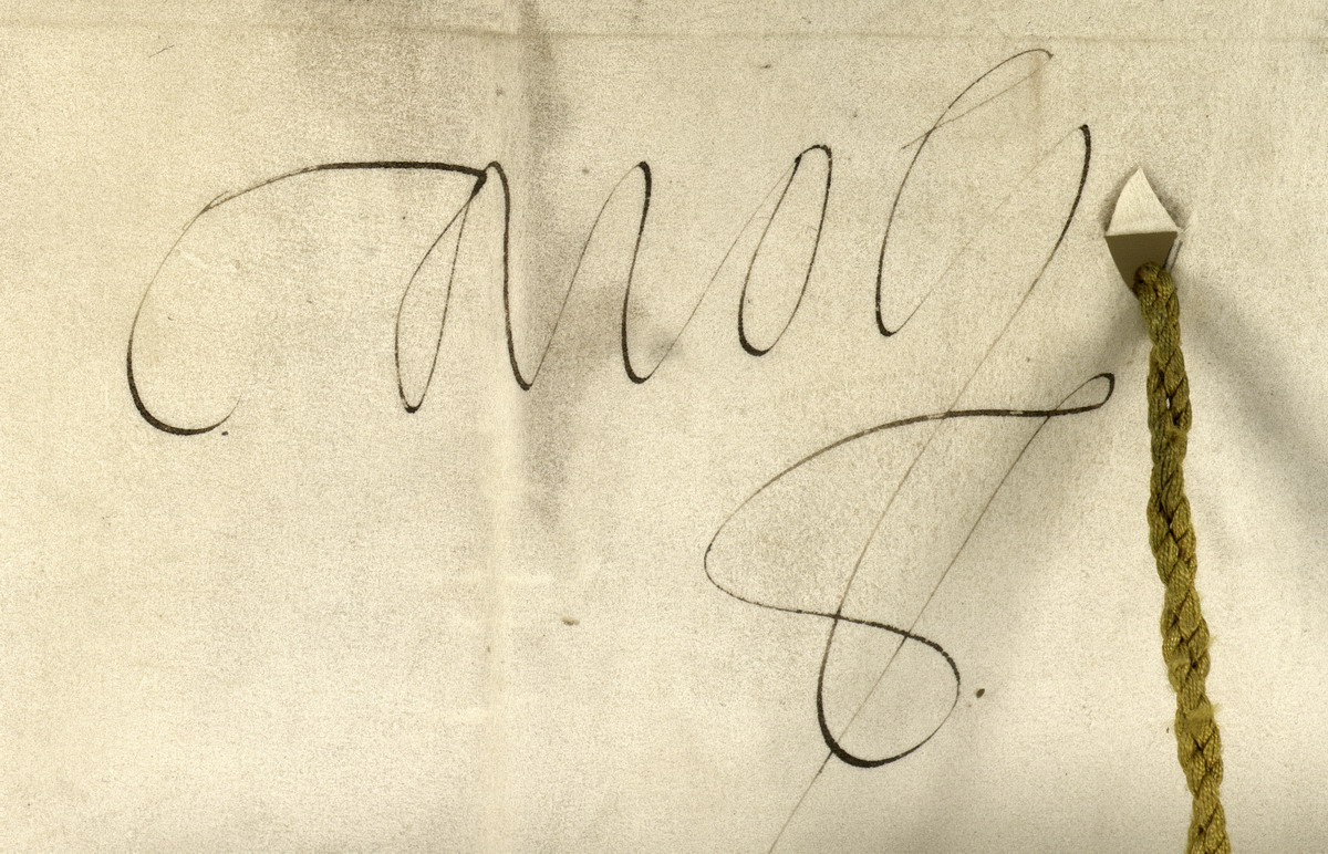 Diplom Kaiser Karl V. über die Bestätigung der Gründung der Universität Marburg, 16. Juli 1541