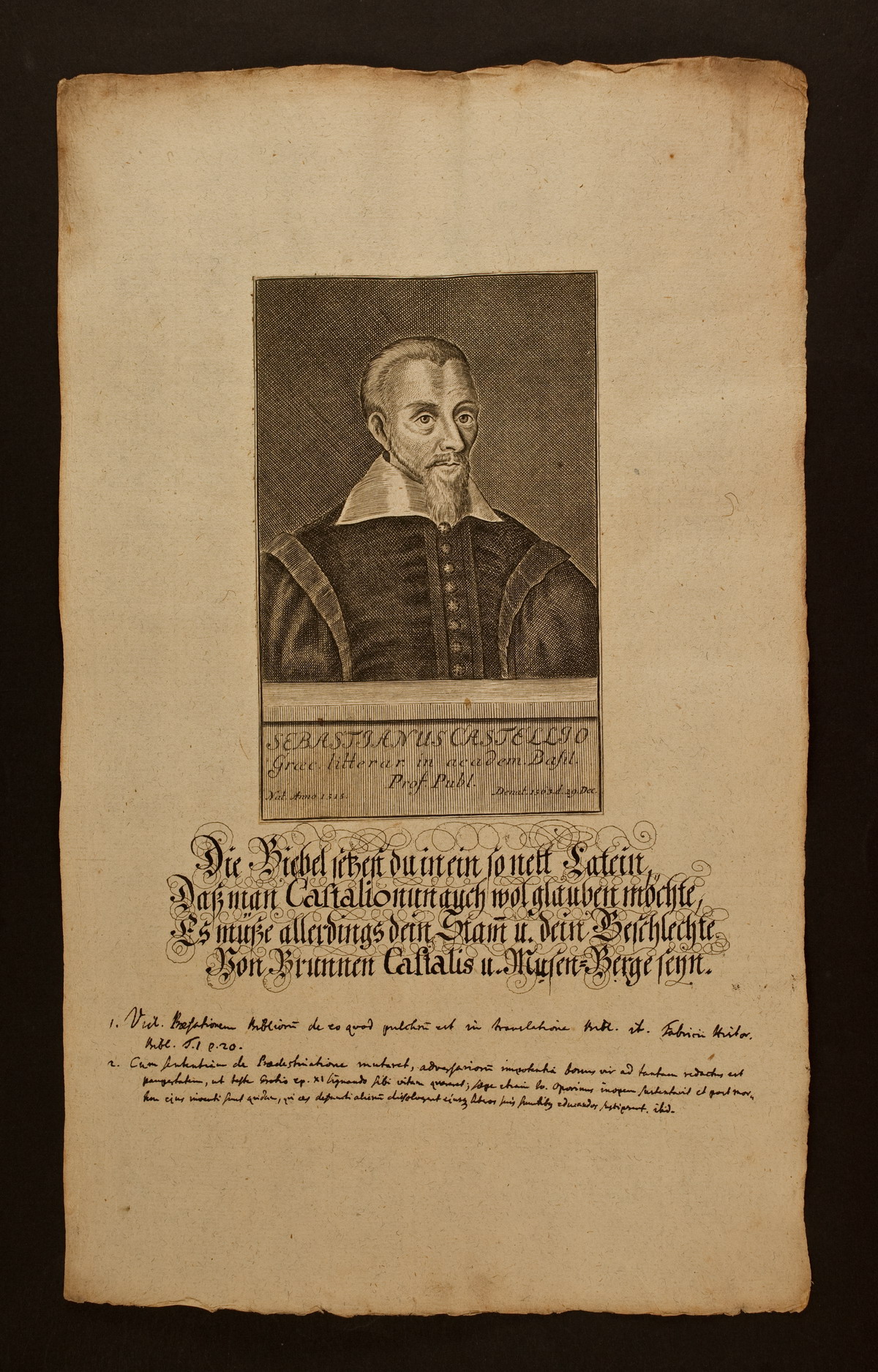 Sebastianus Castellio (1515-1563), Porträt