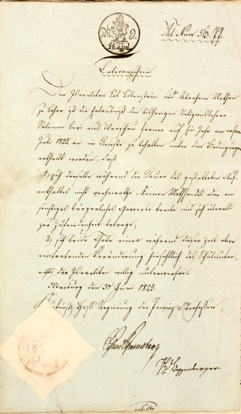 Toleranzschein für Salomon Lewi für das Jahr 1825