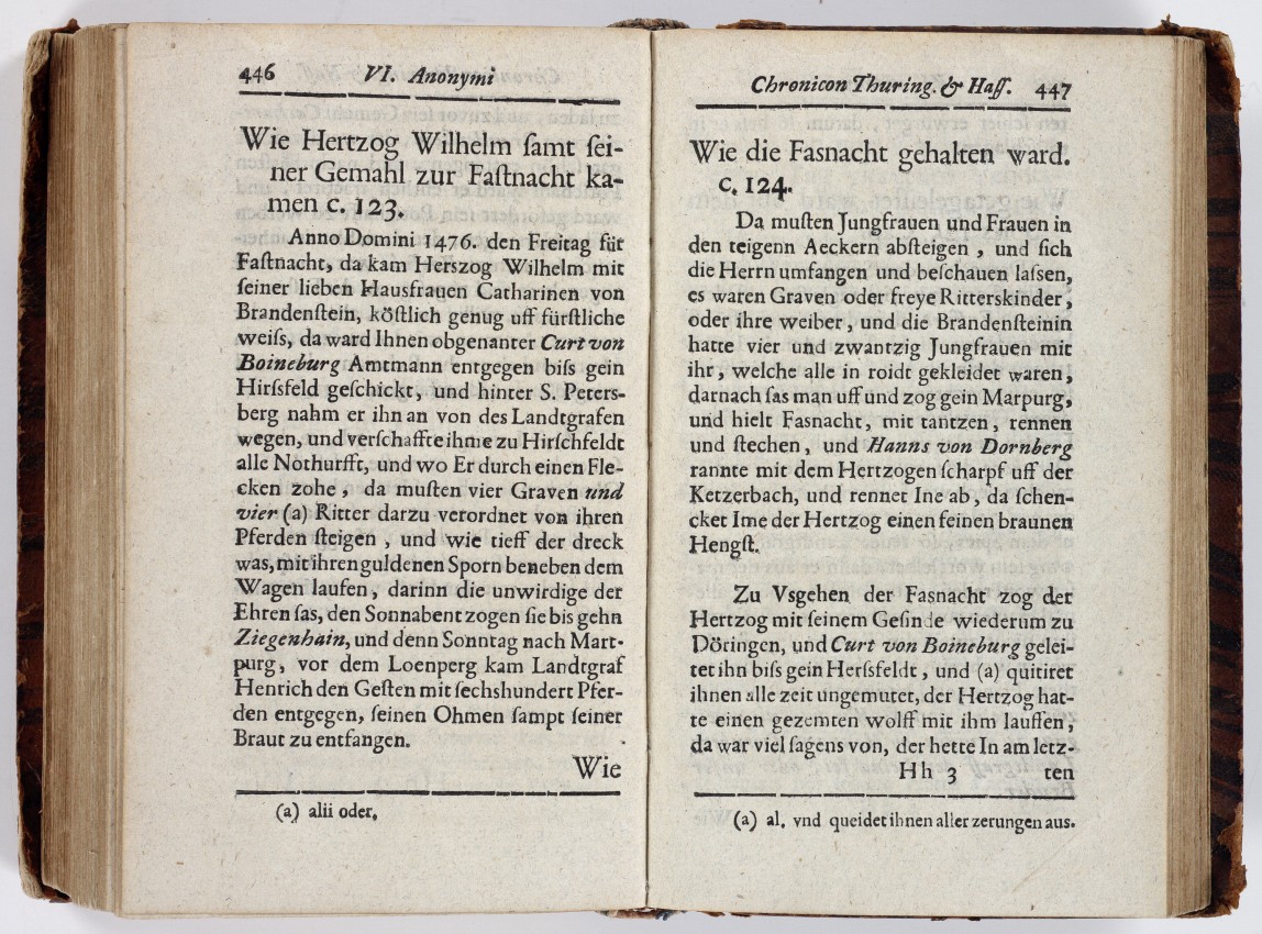 Buchausschnitt: Beschreibung einer Fastnacht 1735