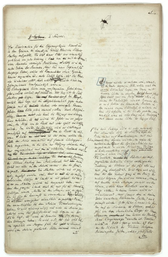 Entwurf einer Denkschrift über das Staatsarchiv Marburg