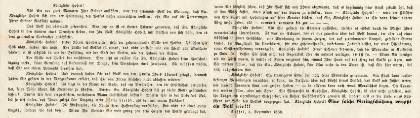 Hornisse gegen Hassenpflug