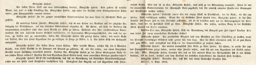 Hornisse gegen Hassenpflug