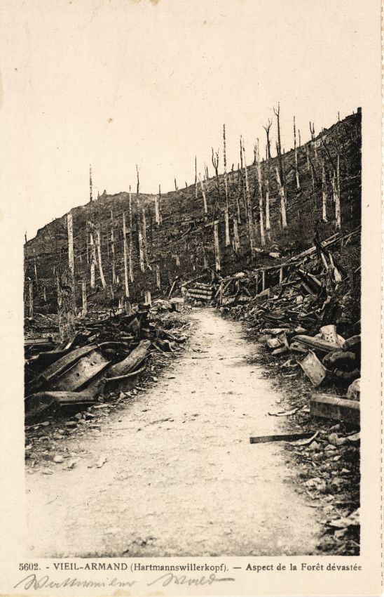 Bildpostkarte des verwüsteten Kriegsschauplatzes Hartmannswillerkopf