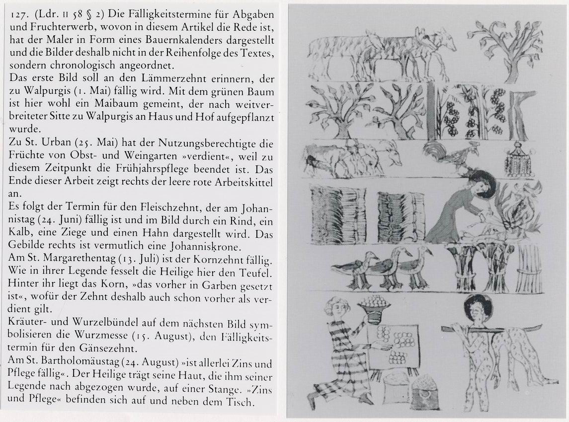 Auszug aus dem Sachsenspiegel des Eike von Repgow über die jährlichen Abgaben und Dienste eines Bauern, um 1230