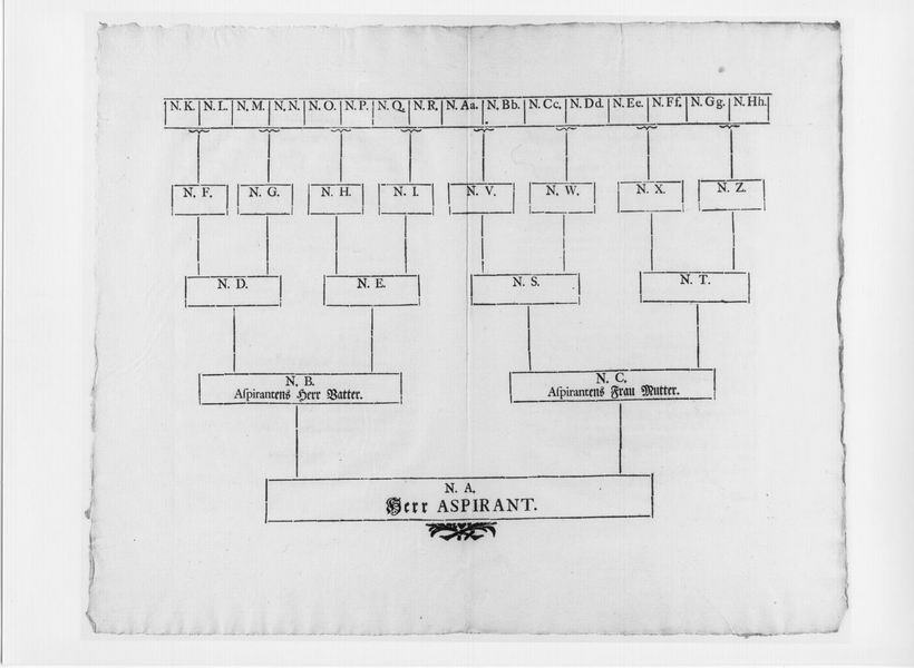 Anweisung (sog. Ahnenprobe) für die Aufnahme in den Deutschen Ritterorden mit grafischer Darstellung einer Ahnentafel, Druck 1750/51