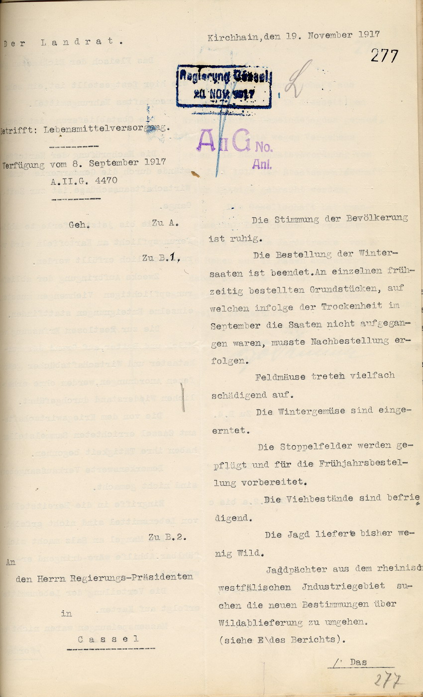Bericht über die Lebensmittelversorgung des Landrates von Kirchhain an den Regierungspräsidenten zu Cassel, 19. November 1917.
