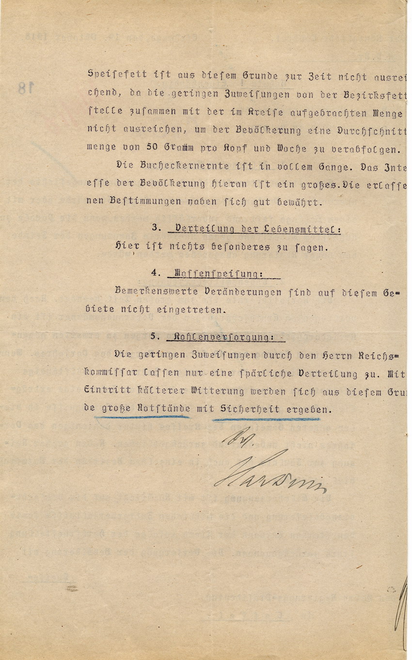Geheimer Wirtschaftsbericht des Kgl. Landrates in Eschwege an den Regierungspräsidenten zu Cassel, 19. Oktober 1918.