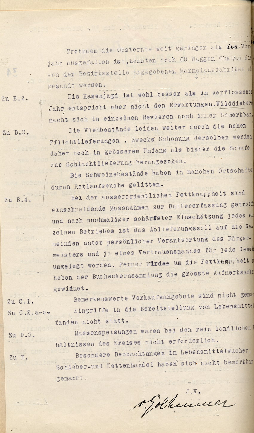 Bericht über die Lebensmittelversorgung des Kgl. Landrates in Kirchhain an den Regierungspräsidenten zu Cassel, 19. Oktober 1918.