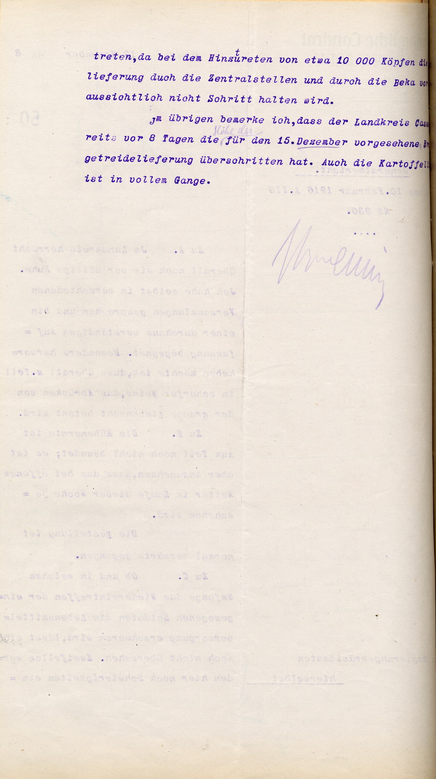 Generalbericht des Kgl. Landrates in Cassel an den Regierungspräsidenten zu Cassel, 19. November 1918.