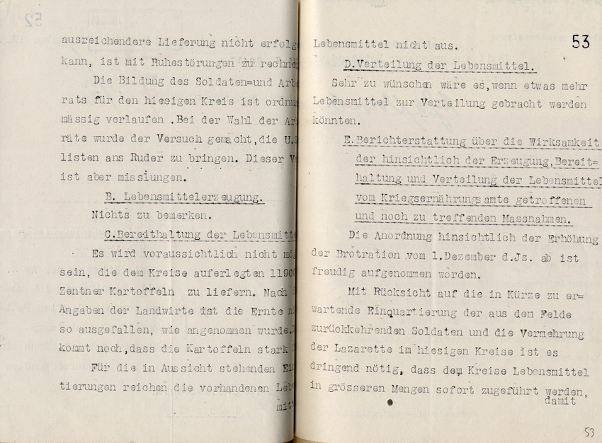 Monatsbericht des Landrates in Fulda an den Regierungspräsidenten zu Cassel, 18. November 1918.