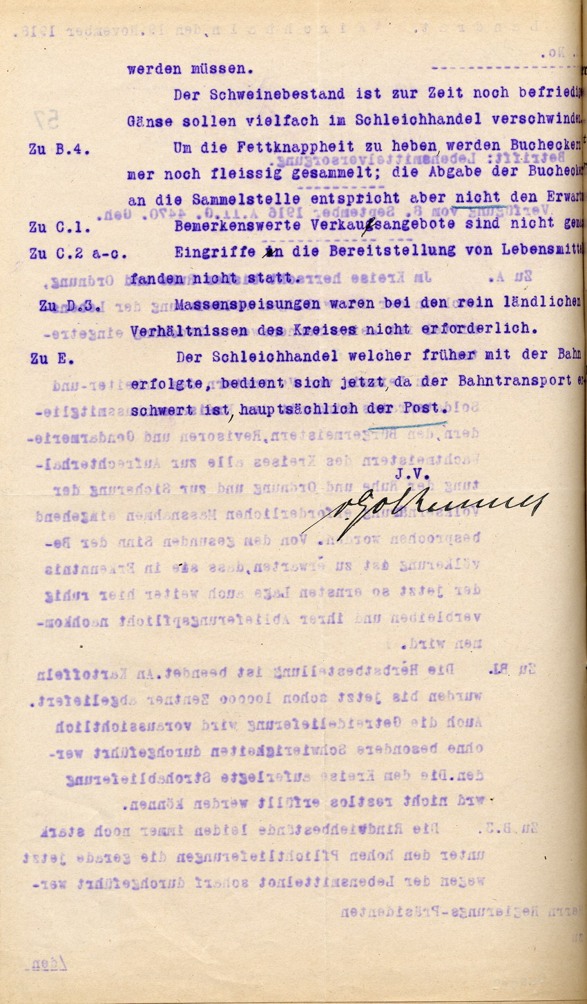 Bericht über die Lebensmittelversorgung des Landrates in Kirchhain an den Regierungspräsidenten zu Cassel, 19. November 1918.