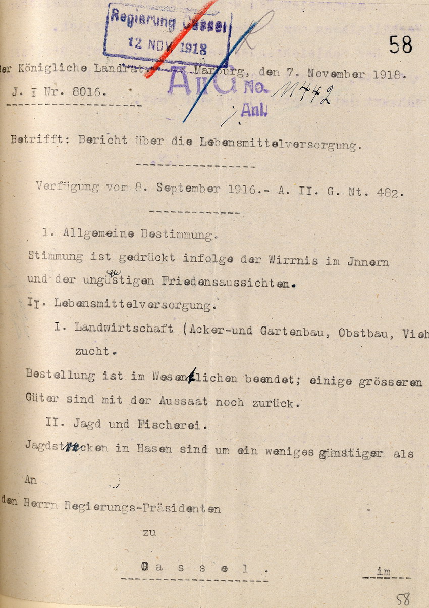 Bericht über die Lebensmittelversorgung des Kgl. Landrates in Marburg an den Regierungspräsidenten zu Cassel, 7. November 1918.