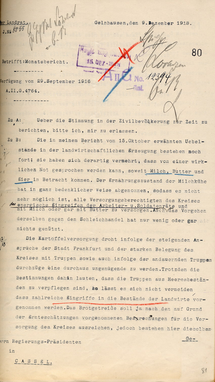 Monatsbericht des Landrates in Gelnhausen an den Regierungspräsidenten zu Cassel, 9. Dezember 1918.