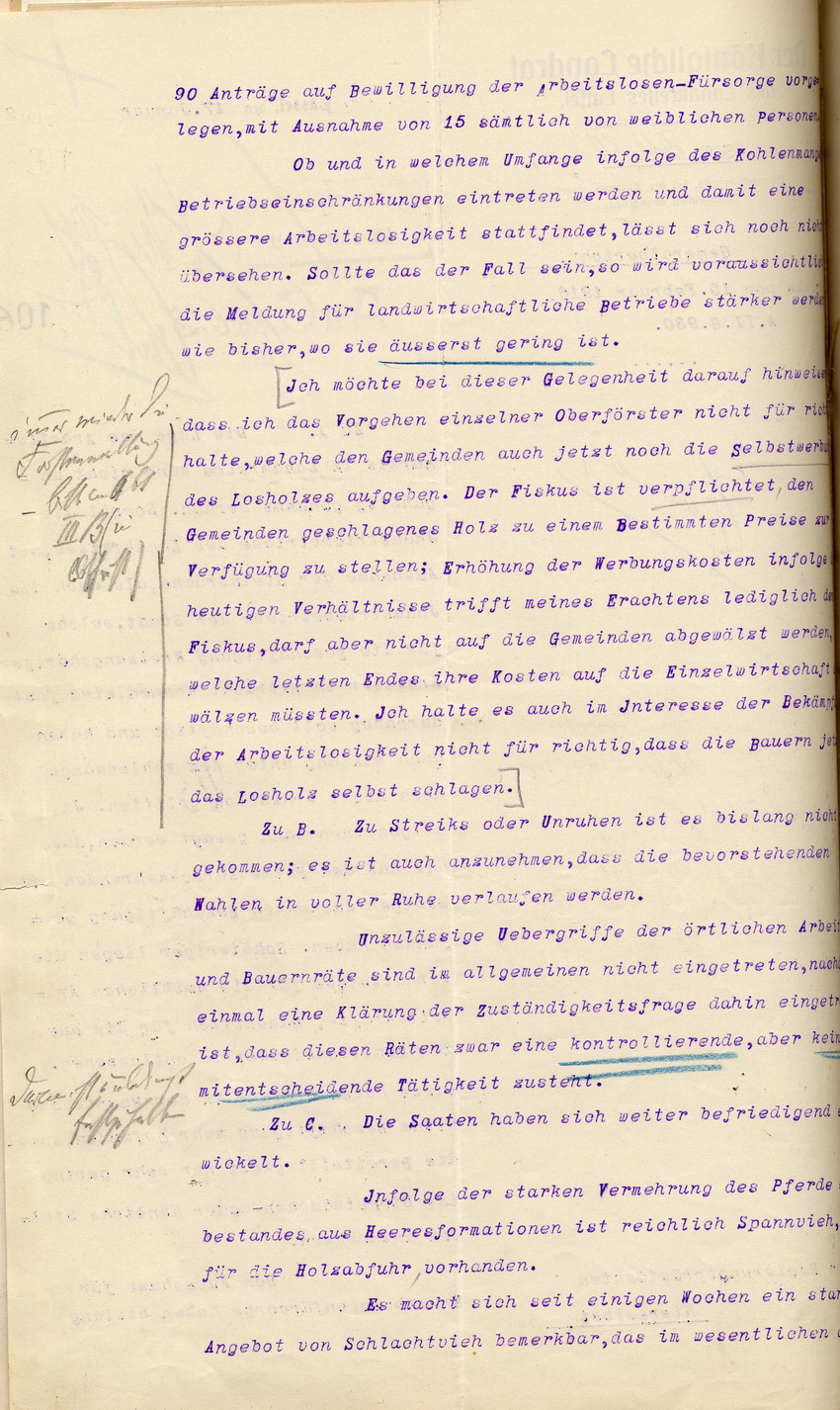 Generalbericht des Landrates in Cassel an den Regierungspräsidenten zu Cassel, 17. Januar 1919.