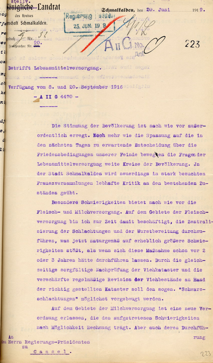 Bericht über die Lebensmittelversorgung des stellv. Landrates Herrschaft Schmalkalden an den Regierungspräsidenten zu Cassel, 20. Juni 1919.