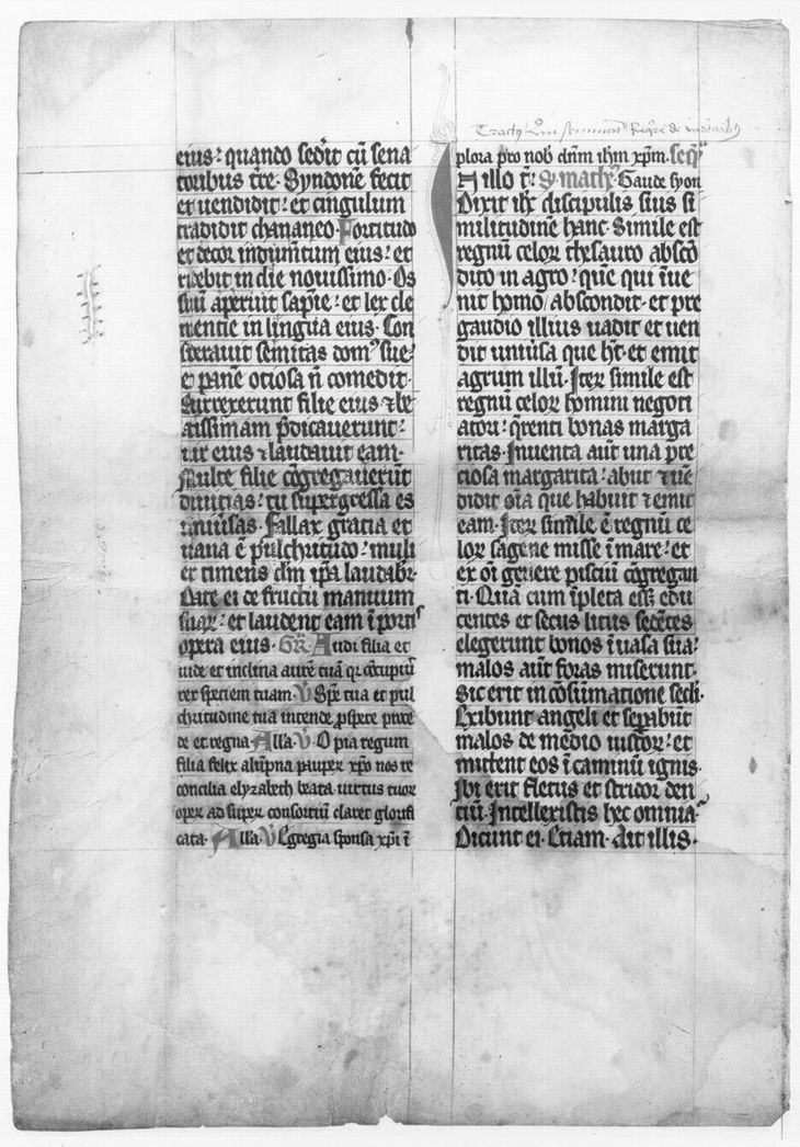 Zwei Doppelblätter aus Missalehandschriften mit ältester Messe zum Fest der Heiligen Elisabeth, 15. Jahrhundert