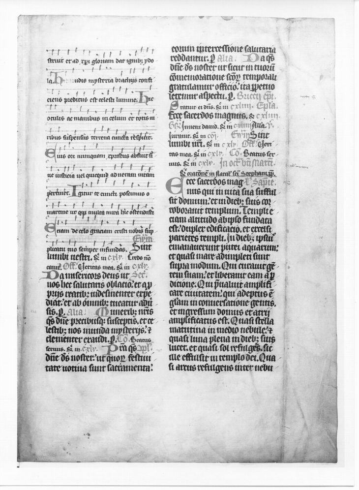 Zwei Doppelblätter aus Missalehandschriften mit ältester Messe zum Fest der Heiligen Elisabeth, 15. Jahrhundert