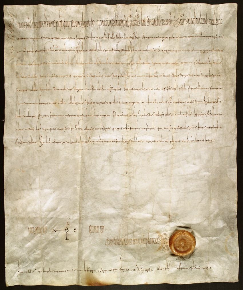 Urkunde, König Arnulf, 889 Juli 21