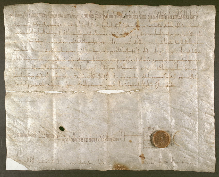 Urkunde, König Ludwig IV. d. Kind, 907 März 19