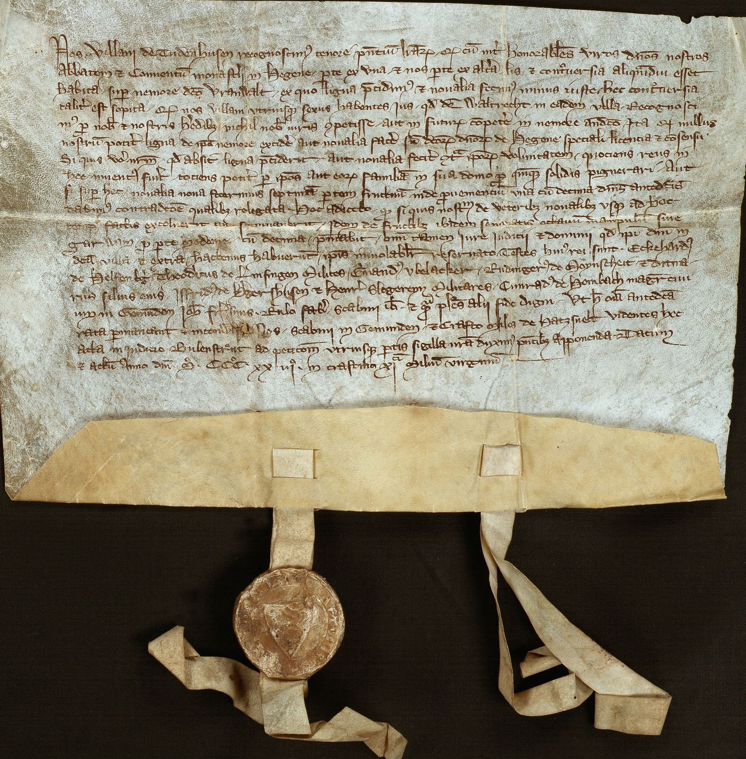 Die Bauern von Dodenhausen bekunden, dass sie nicht mehr im sogenannten Fronwald ohne Genehmigung des Abt und Konvents zu Haina Holz schlagen oder roden wollen, 22. Oktober 1323