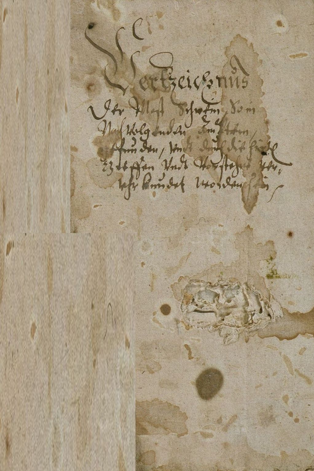 Verzeichnisse der in den Ämtern des Niederfürstentums Hessen in die Wälder getriebenen Mastschweine, 1595