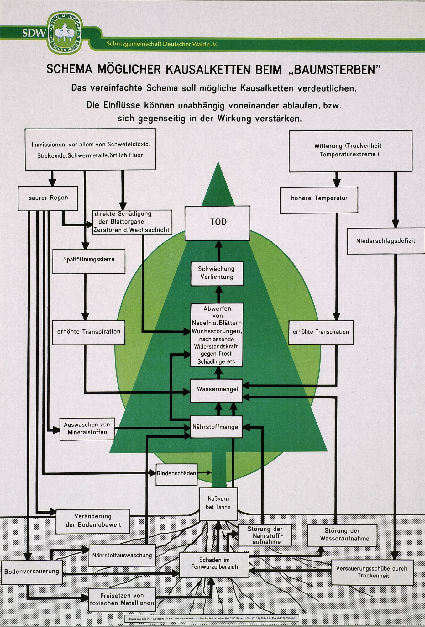 Publikation der Schutzgemeinschaft Deutscher Wald zu den Ursachen des Baumsterbens
