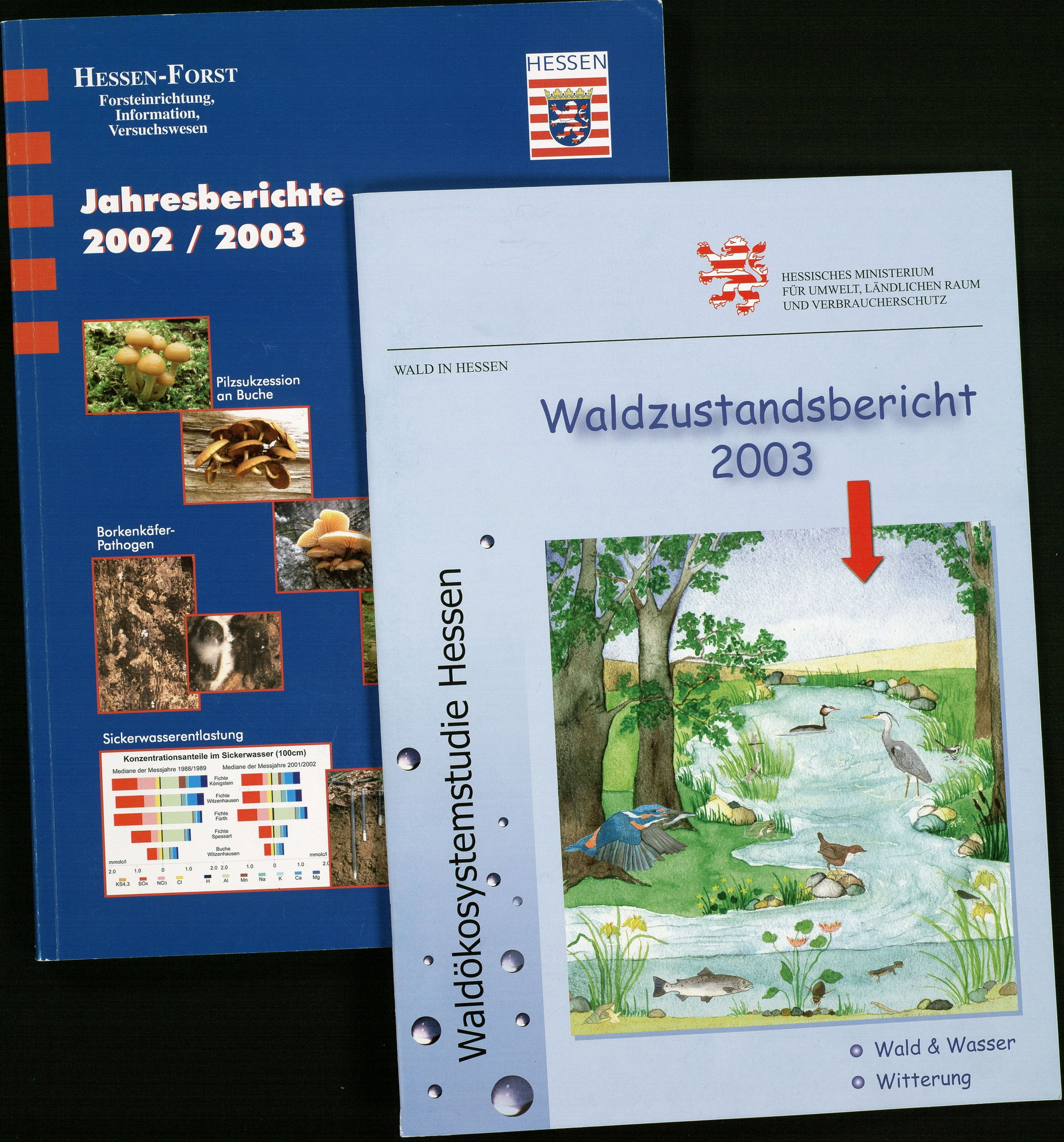 Waldzustandsbericht des Landes Hessen und Jahresbericht von Hessen-Forst, 2002 - 2003