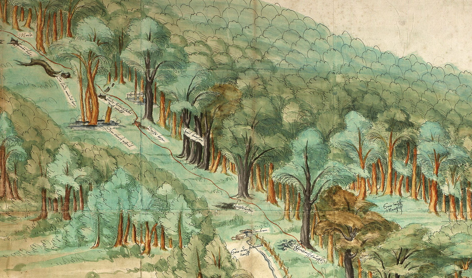 Grenze zwischen Hanau und Kurmainz bei Salmünster , 1554