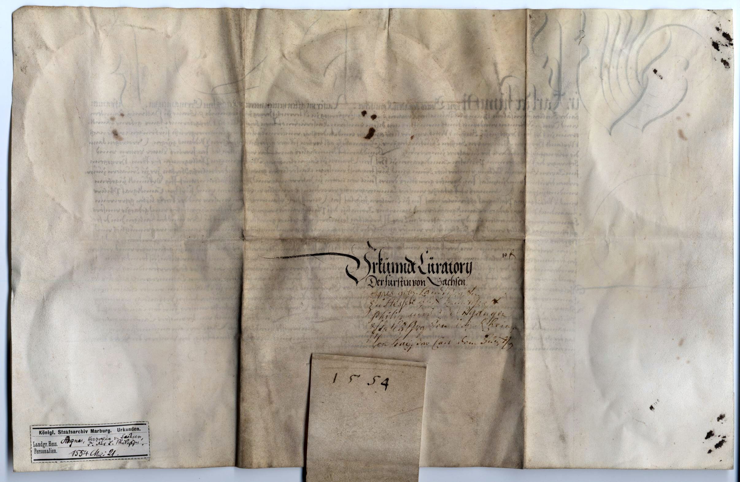 Bestellung von Kuratoren, 21. Mai 1554