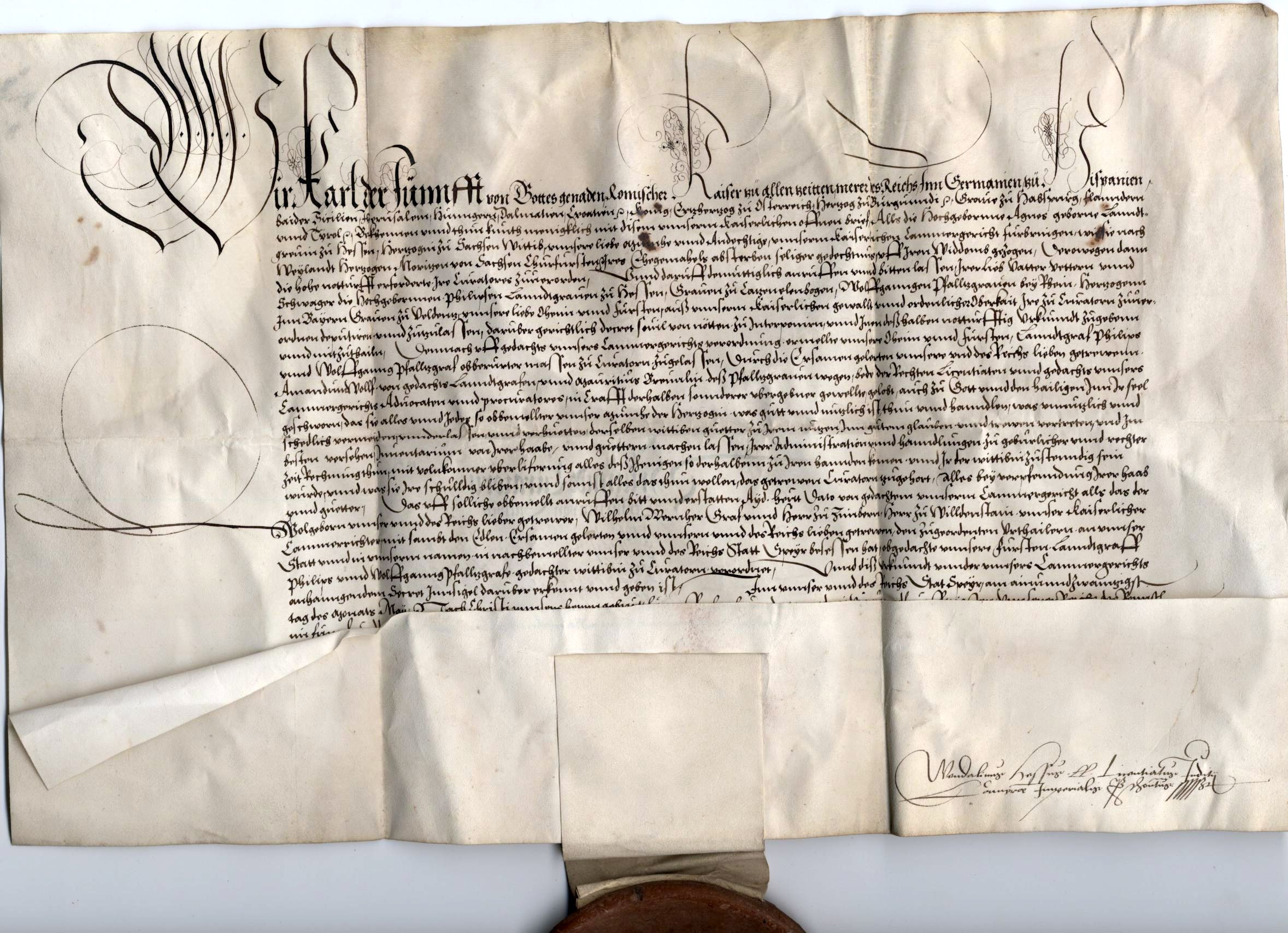 Bestellung von Kuratoren, 21. Mai 1554