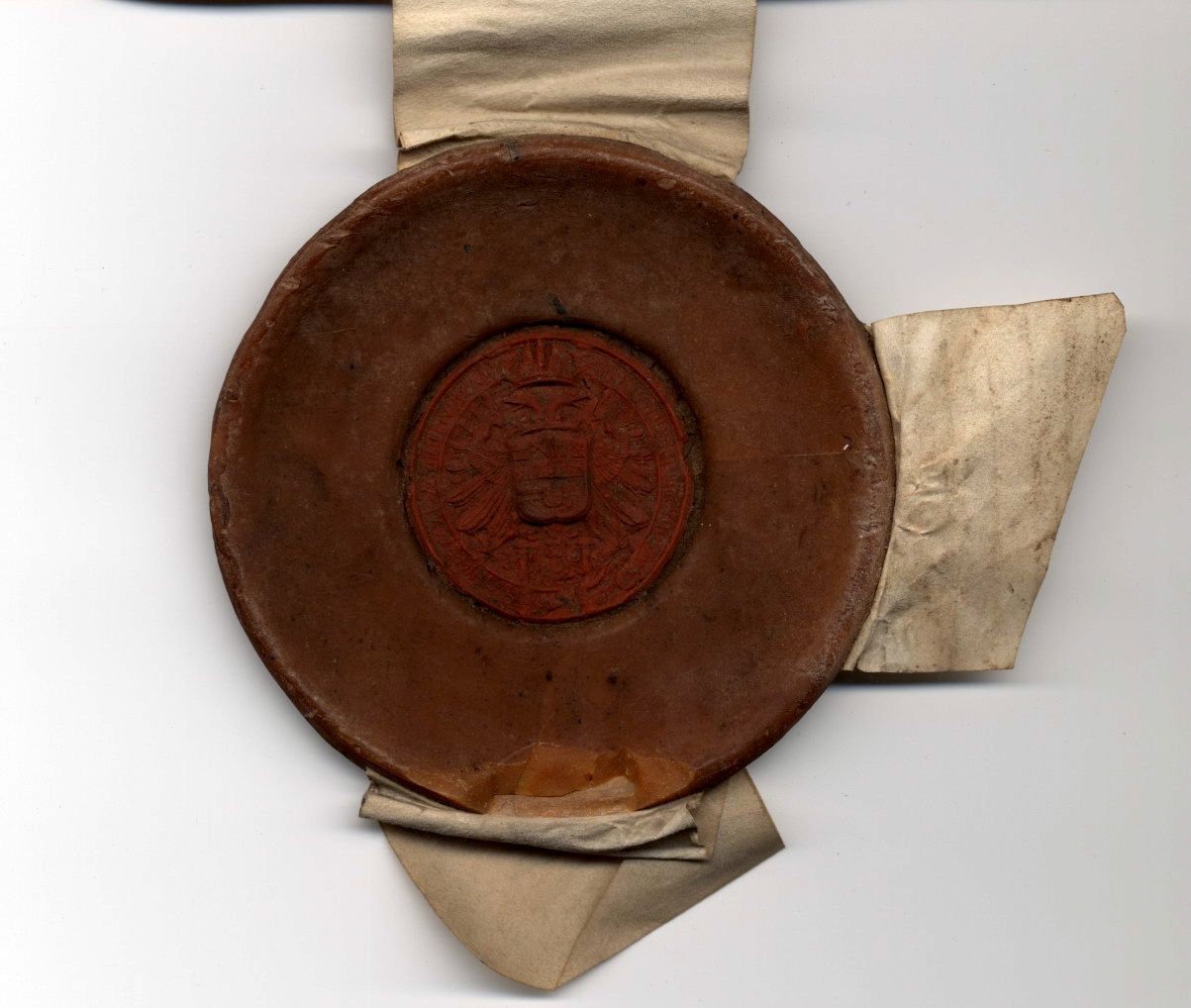 Bestellung von Kuratoren, 21. Mai 1554