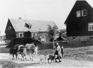 Heimatvertriebene Landwirte besiedeln Lettgenbrunn