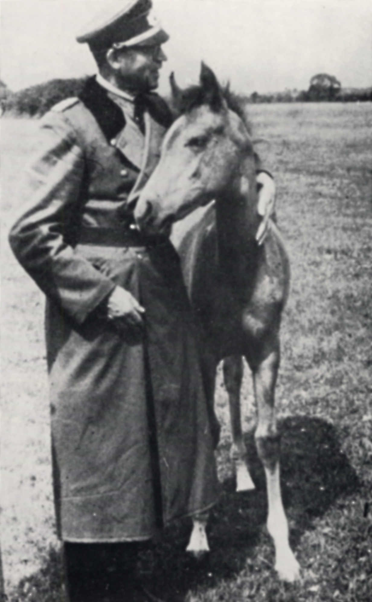 Bilder von Erich Fellgiebel mit Pferden