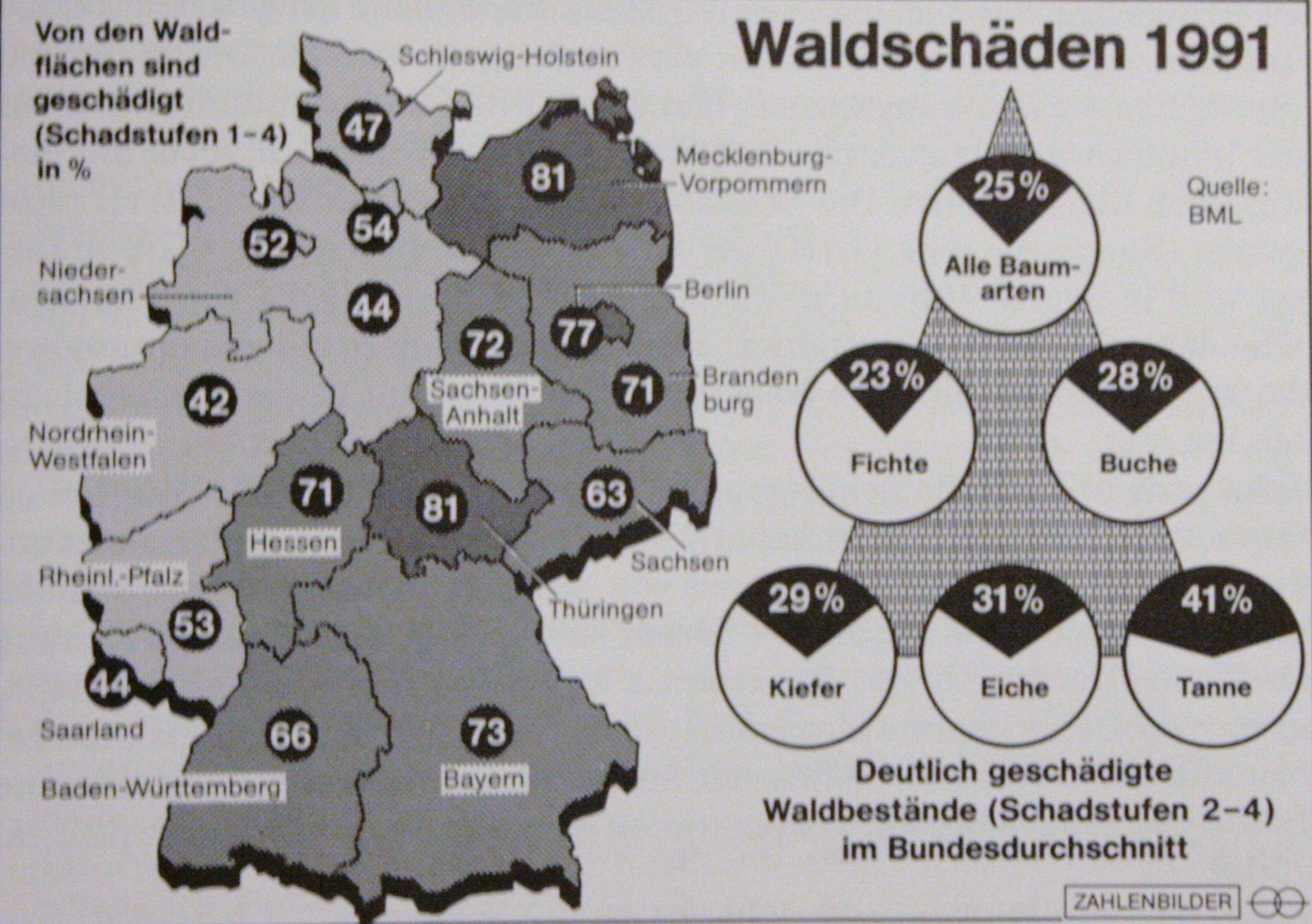 Die "ökologische Schadensbilanz" der Bundesrepublik Deutschland ("rechenbare" Schäden in Milliarden Mark pro Jahr)