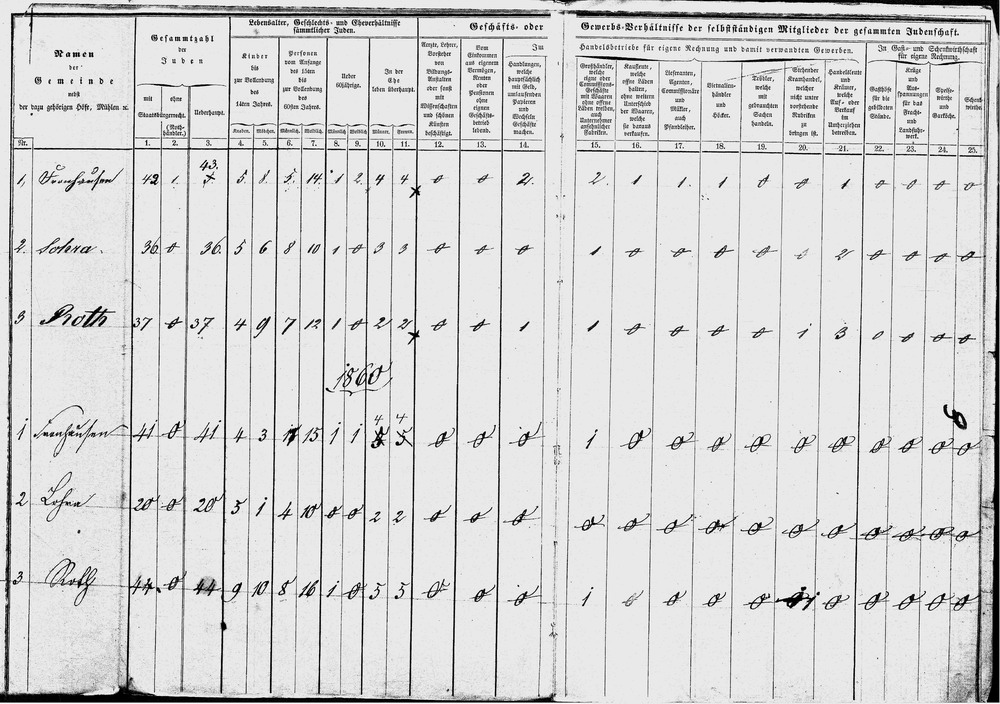 Gewerbestatistik (1): Übersichten über die persönlichen und gewerblichen Verhältnisse der Juden von Roth,  1853-1865 [hier: 1853 und 1860]