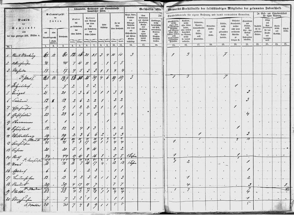 Gewerbestatistik (2): Übersichten über die persönlichen und gewerblichen Verhältnisse der Juden von Roth, 1853-1865 [hier: 1858]