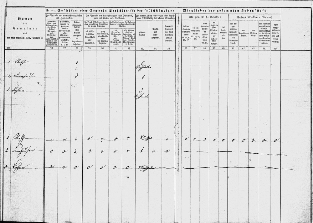 Gewerbestatistik (3): Übersichten über die persönlichen und gewerblichen Verhältnisse der Juden von Roth, 1853-1865 [hier: 1862 und  1865]