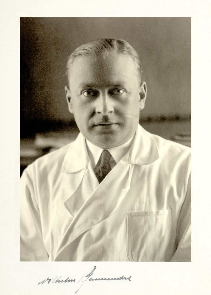 Mediziner im Dienst der NS-Rassenhygiene - Wilhelm Pfannenstiel, Ernst Kretschmer, Werner Villinger, Albrecht Langelüddeke Mediziner im Dienst der NS-Rassenhygiene - Wilhelm Pfannenstiel, Ernst Kretschmer, Werner Villinger, Albrecht Langelüddeke