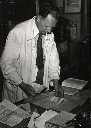 Hermann Bauer Hermann Bauer