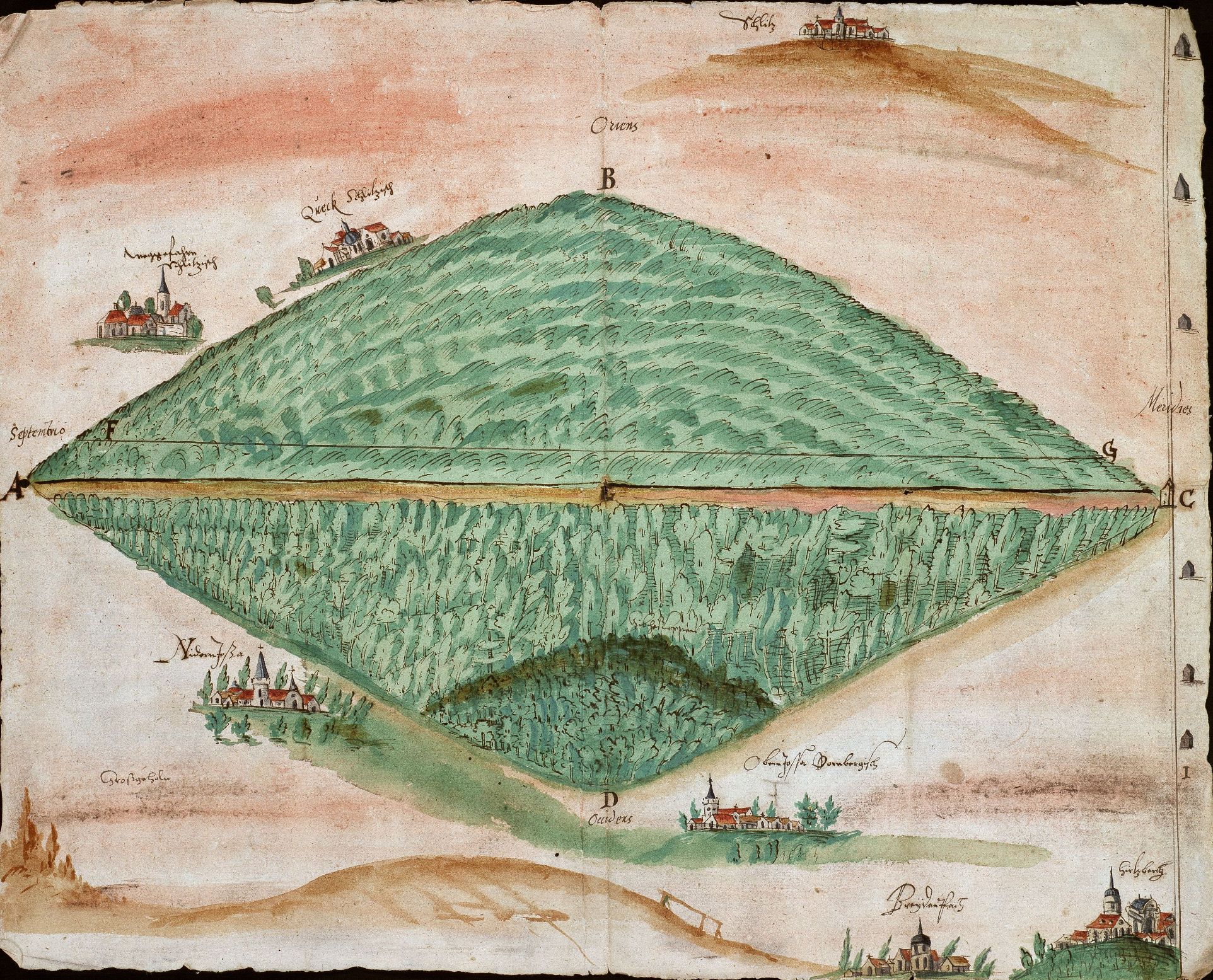 Waldeigentum und Forsthoheit Waldeigentum und Forsthoheit
